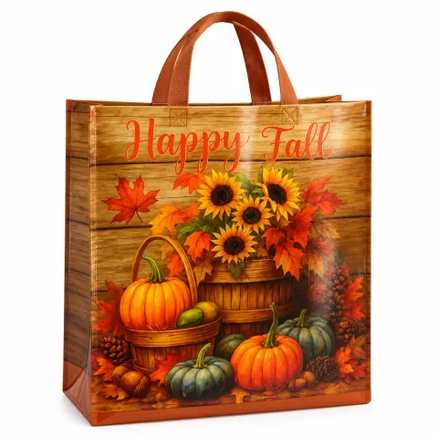 Non-woven Bags · 15